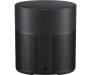 Акустическая система Bose Home Speaker 300 Black (808429-2100)