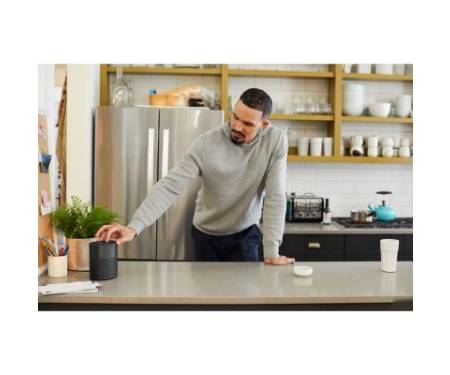Акустическая система Bose Home Speaker 300 Black (808429-2100)