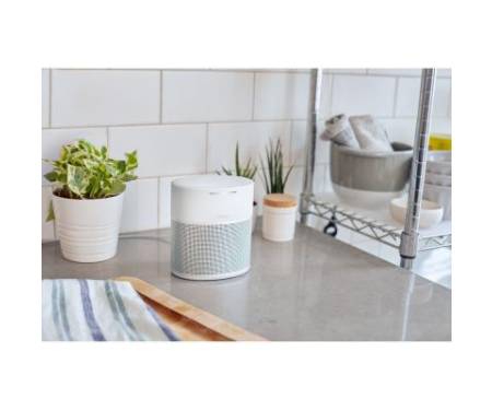 Акустическая система Bose Home Speaker 300 Silver (808429-2300)