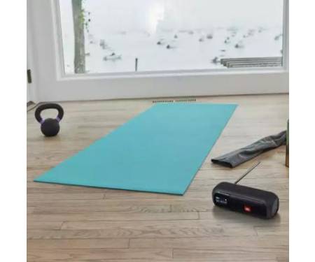 Акустическая система JBL Tuner 2 FM Black (JBLTUNER2BLK)