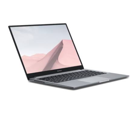 Ноутбук Xiaomi RedmiBook Air 13 i5 10th 8/512GB Grey (JYU4302CN)