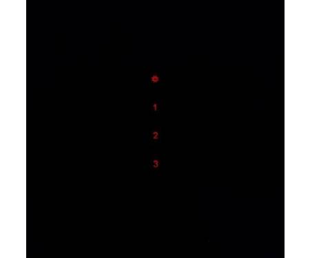 Вытяжка кухонная PERFELLI DNS 6642 BL LED