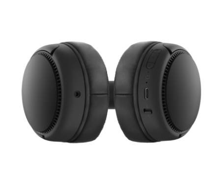 Наушники PANASONIC RB-M300BGE-K Black (RB-M300BGE-K)