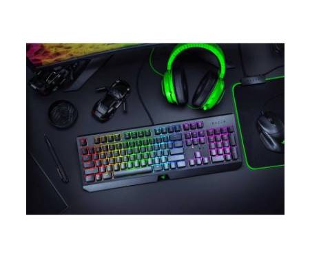 Клавиатура Razer BlackWidow Green Switch (RZ03-02861100-R3R1)