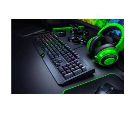 Клавиатура Razer BlackWidow Green Switch (RZ03-02861100-R3R1)