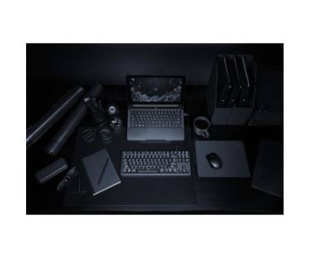 Клавиатура Razer BlackWidow Lite (RZ03-02640100-R3M1)