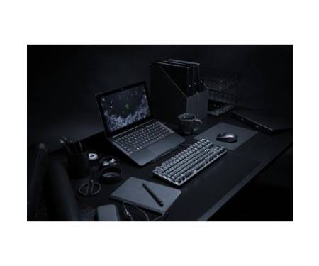 Клавиатура Razer BlackWidow Lite (RZ03-02640100-R3M1)