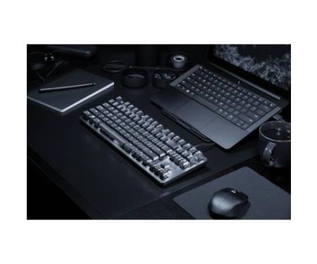 Клавиатура Razer BlackWidow Lite (RZ03-02640100-R3M1)