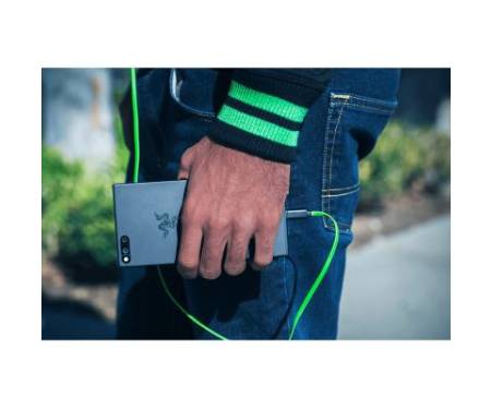 Наушники Razer Hammerhead USB-C (RZ04-02420100-R3G1)