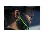 Наушники Razer Hammerhead USB-C (RZ04-02420100-R3G1)