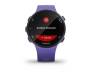 Смарт-часы Garmin Forerunner 45s Iris (010-02156-11/01)