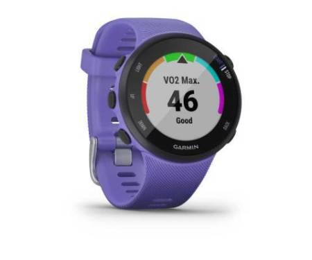 Смарт-часы Garmin Forerunner 45s Iris (010-02156-11/01)