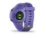 Смарт-часы Garmin Forerunner 45s Iris (010-02156-11/01)