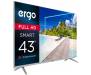 Телевизор Ergo 43DFS7000