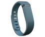 Фитнес-браслет Fitbit Flex (Slate)