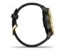 Спортивные часы Garmin Venu Gold Stainless Steel Bezel w. Black and Silicone B. (010-02173-31)