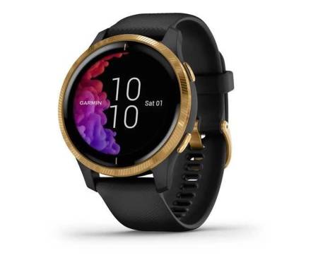 Спортивные часы Garmin Venu Gold Stainless Steel Bezel w. Black and Silicone B. (010-02173-31)