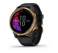 Спортивные часы Garmin Venu Gold Stainless Steel Bezel w. Black and Silicone B. (010-02173-31)