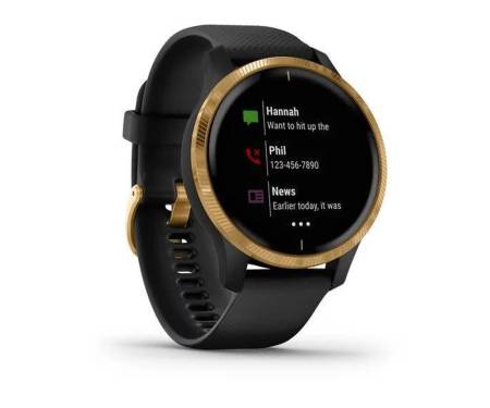 Спортивные часы Garmin Venu Gold Stainless Steel Bezel w. Black and Silicone B. (010-02173-31)