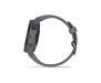 Garmin Fenix 6S Pro Solar Edition Amethyst Steel with Shale Gray Band