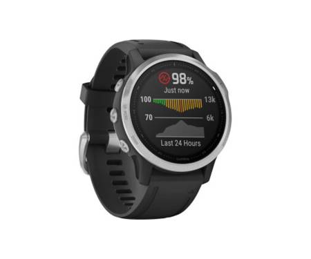 Смарт-часы Garmin Fenix 6S Solar Silver with Black Band (010-02409-00) 2