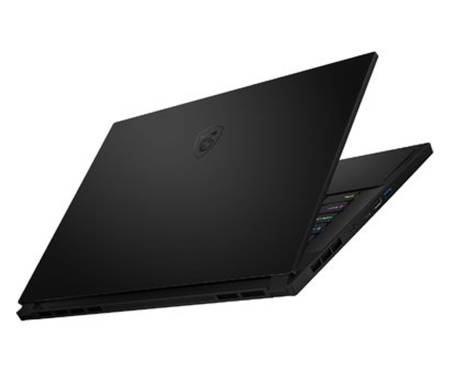 Ноутбук MSI GS66 10SGS Stealth (GS66 10SGS-036US)