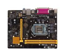 Материнская плата Biostar H110MDS2 PRO D4