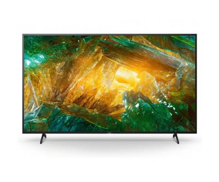 Sony KD-49XH8196