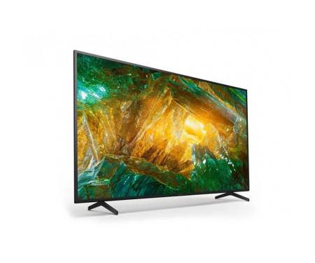 Sony KD-49XH8196