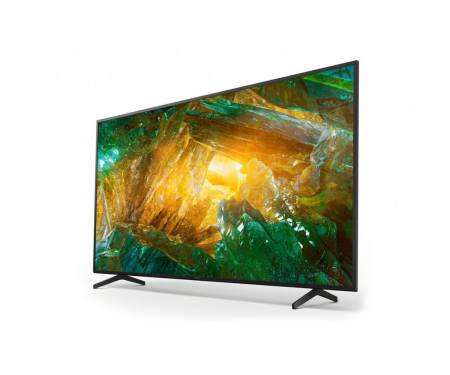 Sony KD-49XH8196