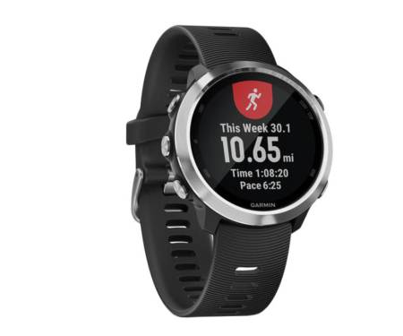 Смарт-часы Garmin Forerunner 645 With Black Colored Band (010-01863-10)