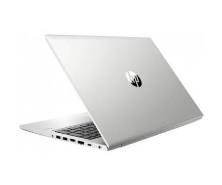 Ноутбук HP ProBook 455 G7 (7JN02AV_ITM1)