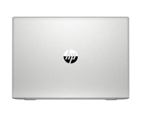 Ноутбук HP ProBook 455 G7 (7JN02AV_ITM1)