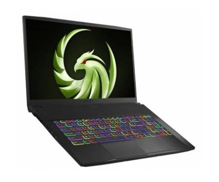 Ноутбук MSI Bravo (A4DDK-070XUA)