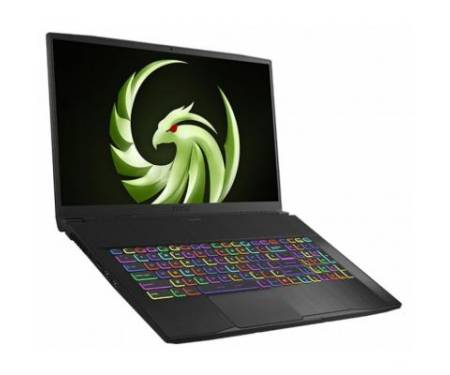 Ноутбук MSI Bravo (A4DDK-091XUA)