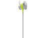 Bose SoundSport Wireless Headphones[Citron]