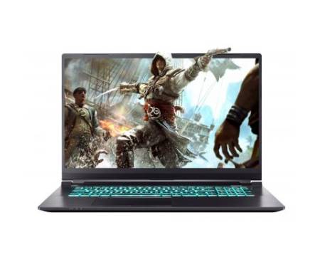 Ноутбук Dream Machines RS2080Q-17 (RS2080Q-17UA51)