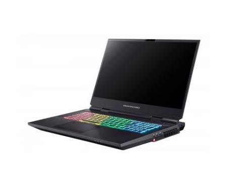 Ноутбук Dream Machines RX2080S-17 (RX2080S-17UA35)