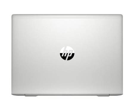 Ноутбук HP Probook 445 G7 (1F3K6EA)