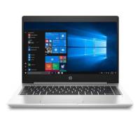 Ноутбук HP Probook 445 G7 (1F3L0EA)