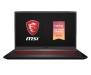 Ноутбук MSI GF75 Thin 10SDR (GF7510SDR-256US)