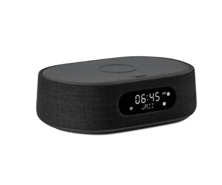 Колонка Harman/Kardon Oasis Mini Black (HKCITAOASISBLKEU)