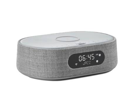 Колонка Harman/Kardon Oasis Mini Grey (HKCITAOASISGRYEU)
