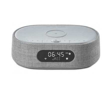Колонка Harman/Kardon Oasis Mini Grey (HKCITAOASISGRYEU)