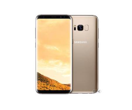 Samsung Galaxy S8+ 64GB Gold (SM-G955FZDD)
