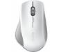 Razer Pro click