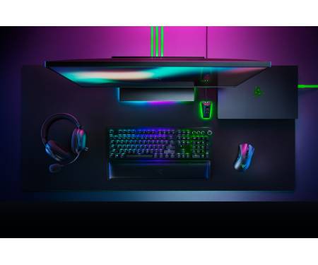 Razer DeathAdder V2 Pro