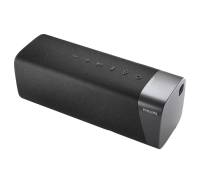 Колонка Philips TAS5505