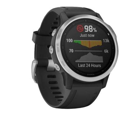 Спортивные часы Garmin Fenix 6S Silver (010-02159-01)