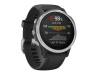 Спортивные часы Garmin Fenix 6S Silver (010-02159-01)